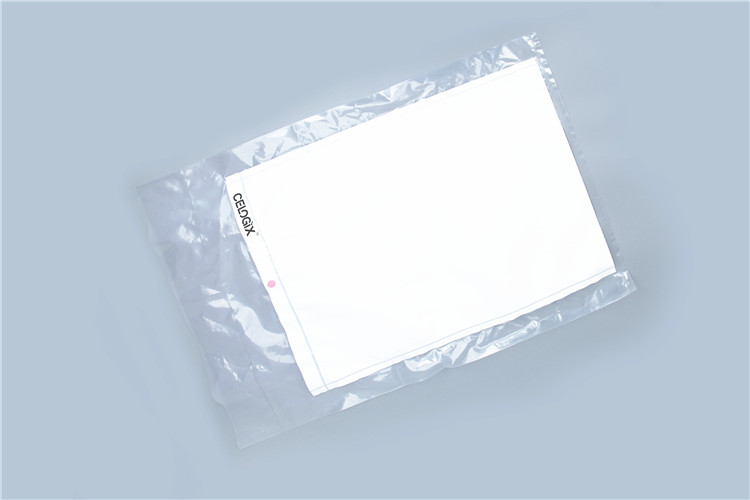 Borsa Cleansteam