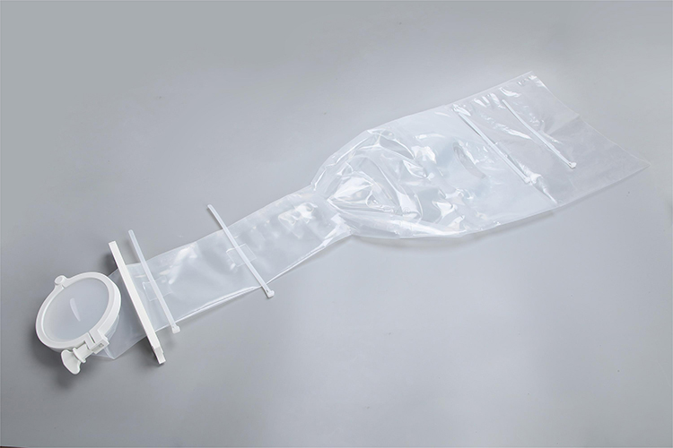 Polvere sacchetto-3D